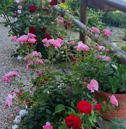 Bed and breakfast Le Terrazze