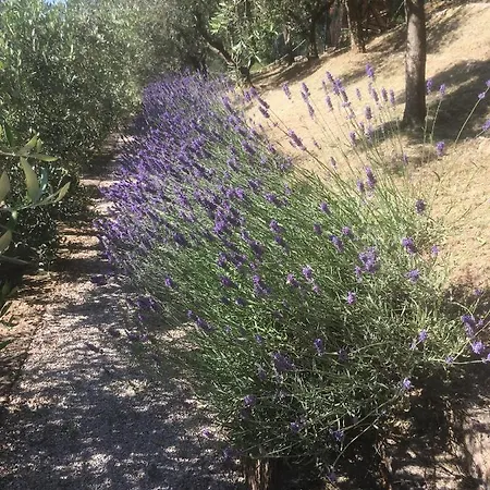 Bed and breakfast Le Terrazze 3*