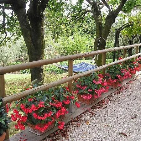 Nocleg ze śniadaniem Le Terrazze 3*