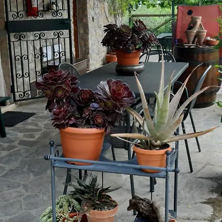 B&B Le Terrazze Perugia