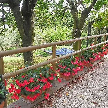 Le Terrazze Bed and breakfast 4*