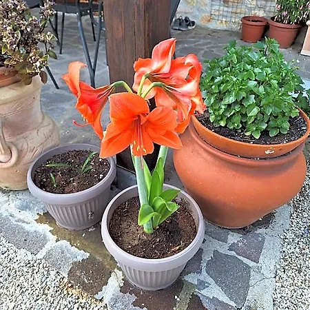 Le Terrazze 4* Perugia