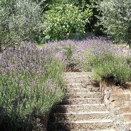 B&B Le Terrazze Перуджа