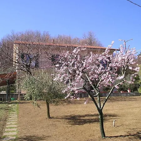 Bed and breakfast Le Terrazze