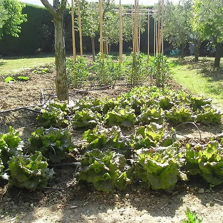 Le Terrazze Nocleg ze śniadaniem