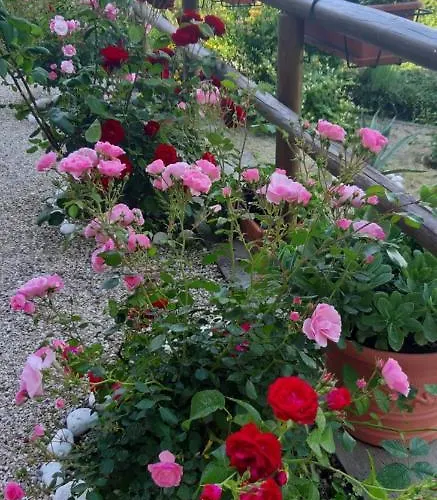 Bed & Breakfast Le Terrazze