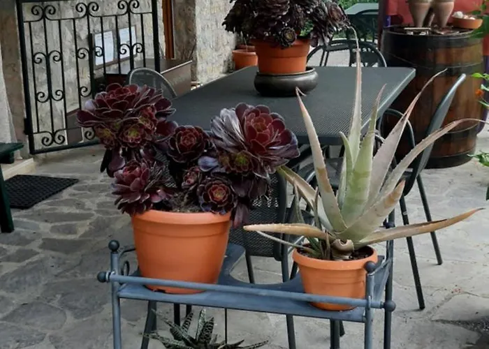 Le Terrazze بيرودجا