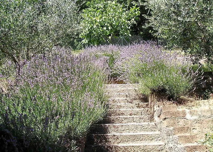 Le Terrazze بيرودجا