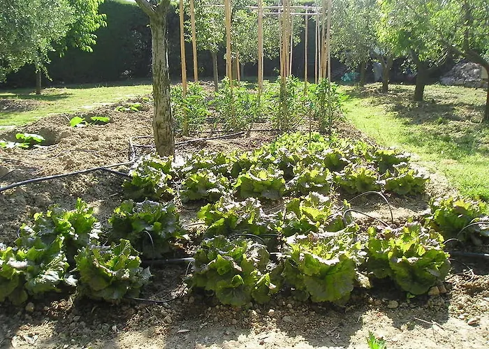 Le Terrazze Bed & Breakfast